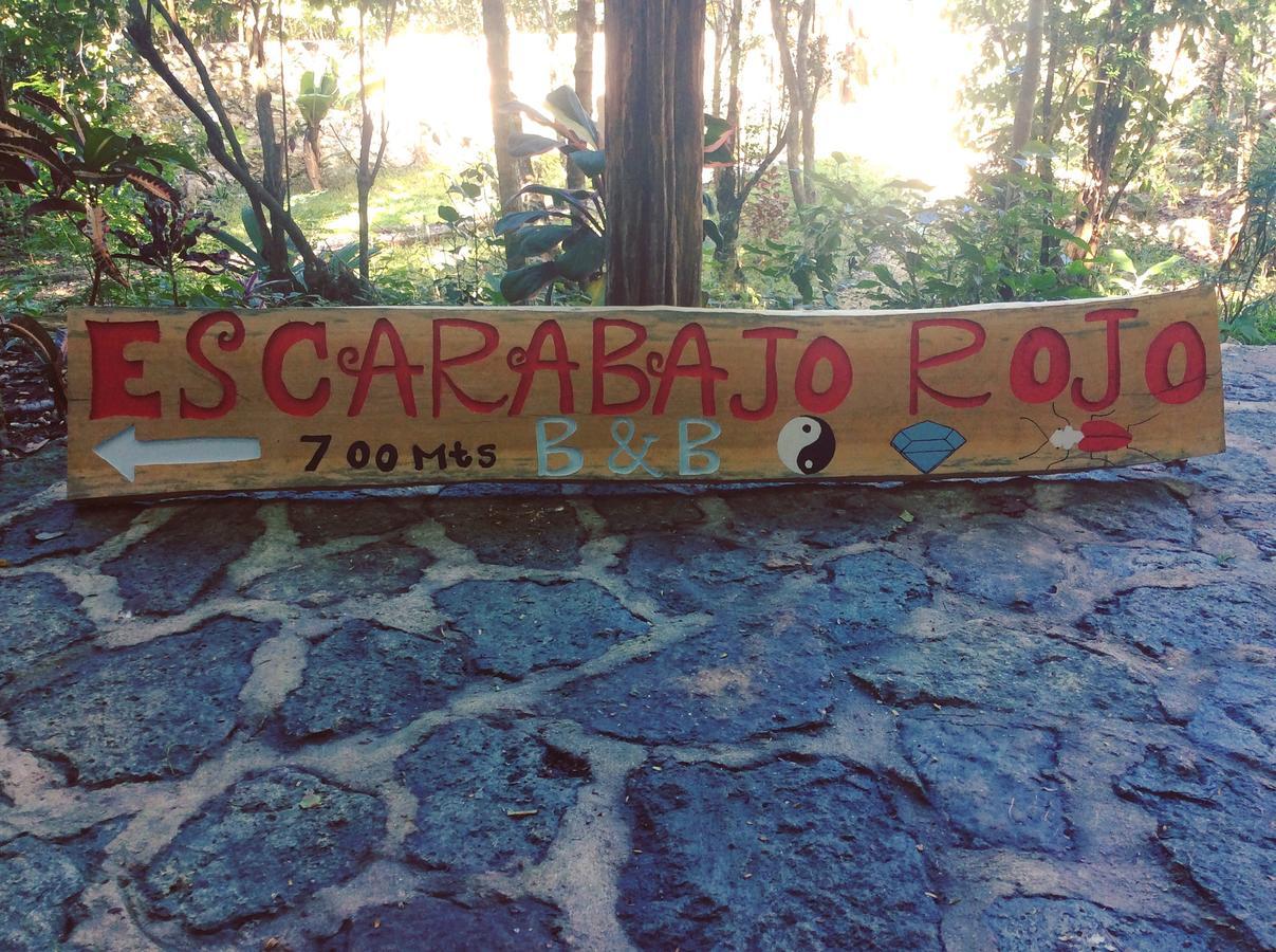 Bed and Breakfast Escarabajo Rojo Тулум Экстерьер фото